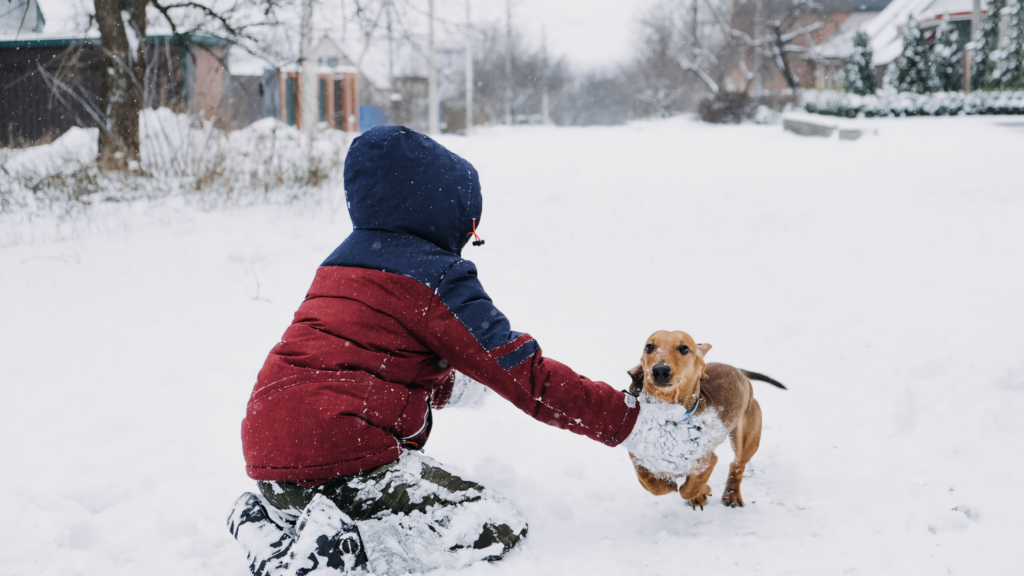 Pet Friendly Ice Melter