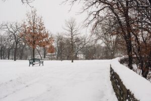 Using Salt for Snow is Outdated: Modern Way to Keep Your Driveway Safe