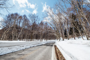 Why Rock Salt is No Longer the Go-To for Canadian Driveways