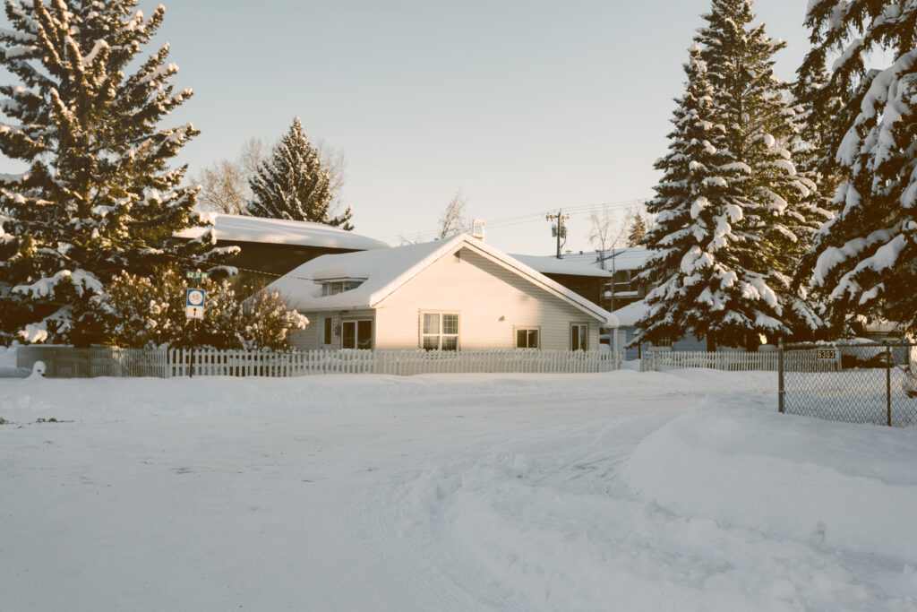 The Hidden Risks of Driveway Salt How It’s Affecting Your Property and Pets