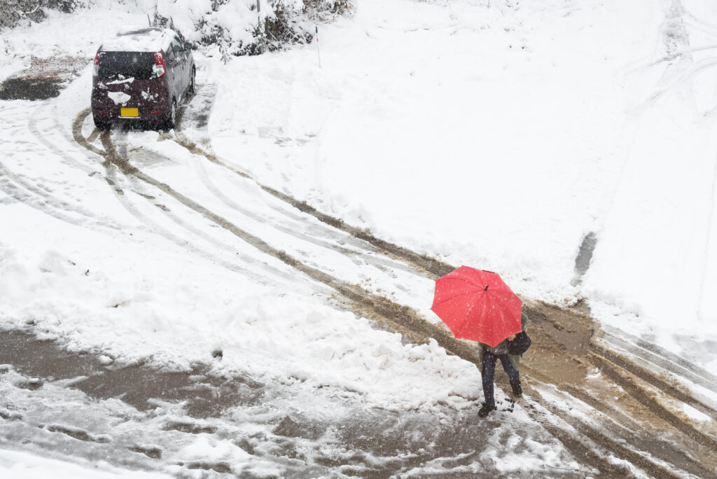 Top 5 Reasons Why Big-Box Store Ice Melters Might Be Doing More Harm Than Good