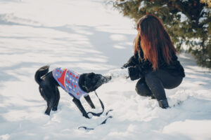 Keeping Paws Safe Why Every Pet Owner Needs A Pet-Friendly Ice Melter This Winter