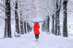 Sidewalk Salt Showdown Is It Damaging Your Concrete More Than Helping