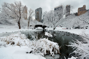 Liquid Deicer A Safe Winter Solution or a Passing Trend