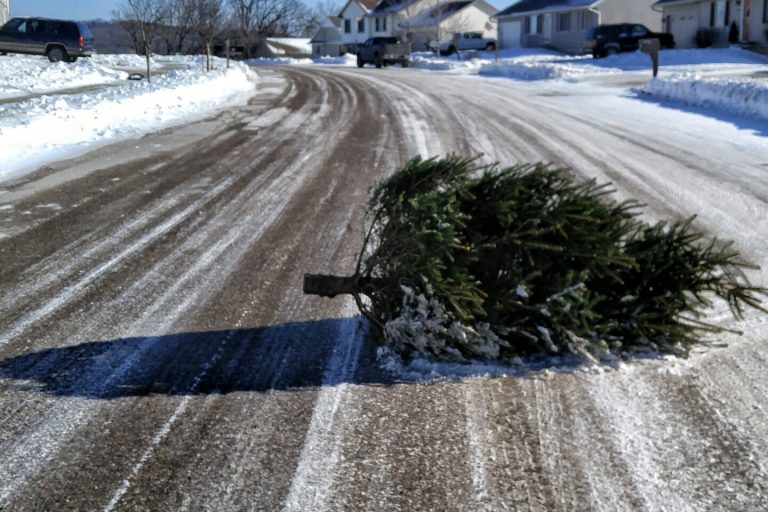 How Salt For Driveways Is Slowly Destroying Your Concrete A Personal Story