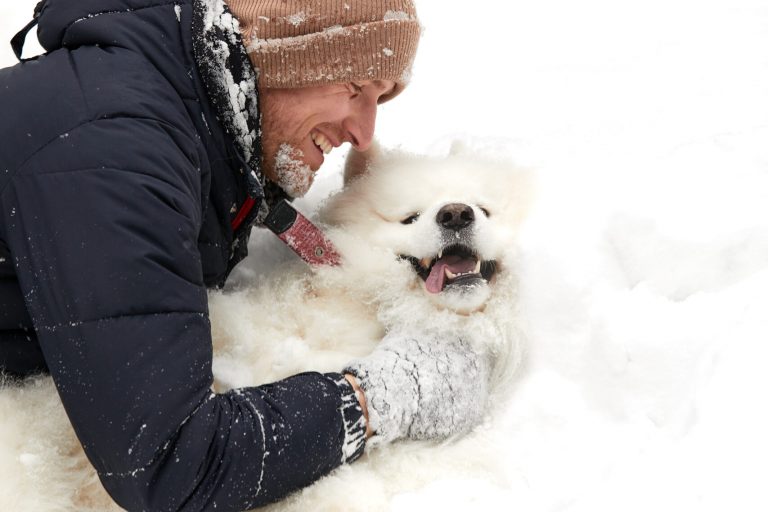 Protect Your Pets This Winter Why Pet-Safe Ice Melt is a Must-Have for Canadian Homes