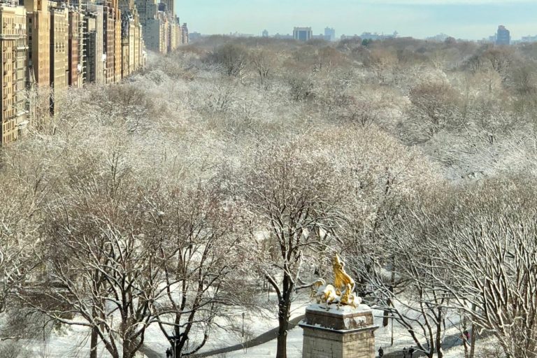 Salt for Winter Uncovering the Hidden Costs of Traditional De-Icing Methods